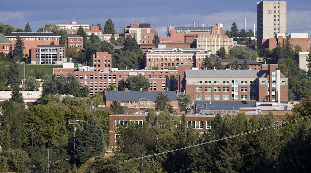 ワシントン州立大学