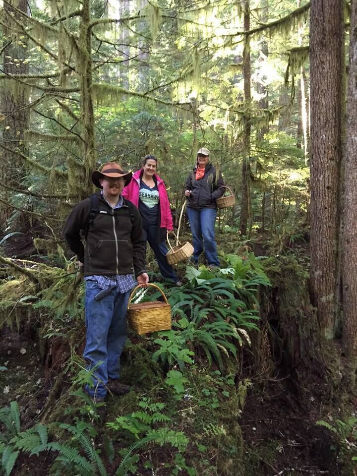 Fall forays into the Gifford Pinchot National Forest, north of Randall, Washington, often produce a treasure trove of exotic mushrooms such as Golden Chanterelles, King Boletes, Chicken of the Woods and Lion's Mane.