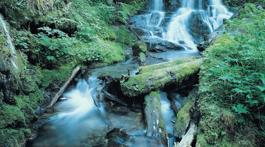 Waterfall by Spirit Lake, Gifford Pinchot National Forest, Wyoming, USA