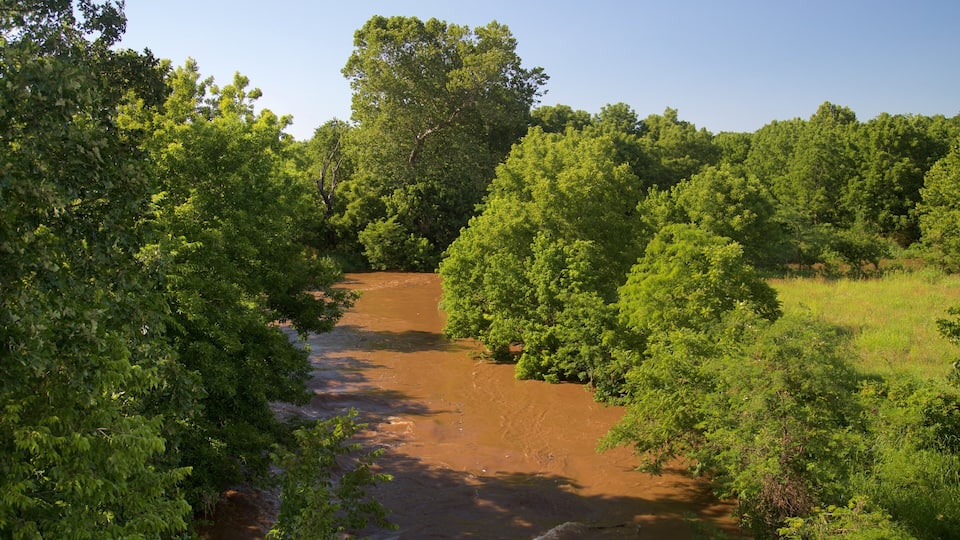A river flowing through a dense forest with lush green trees.