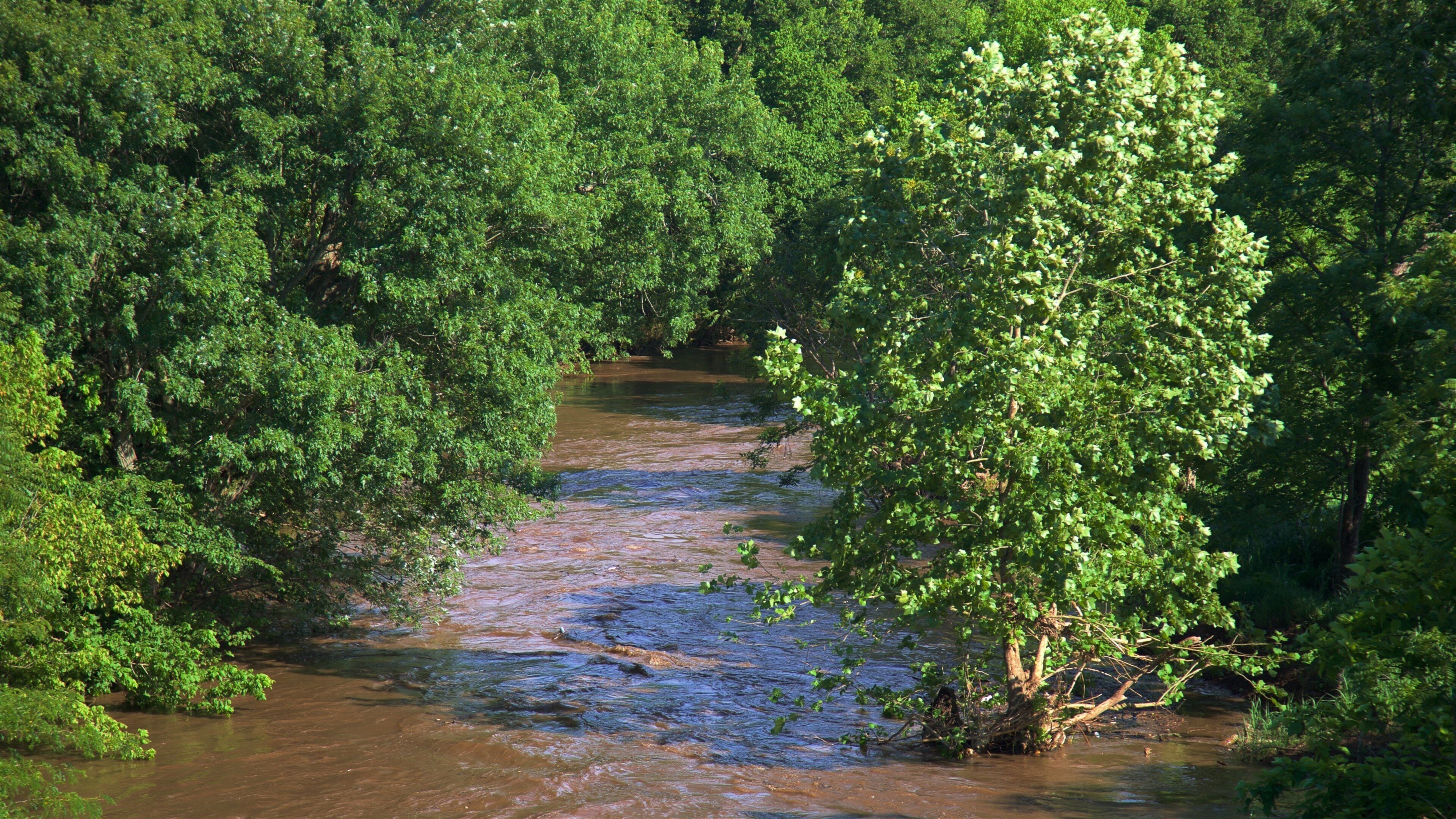 Wilsons Creek National Battlefield which includes a river or creek