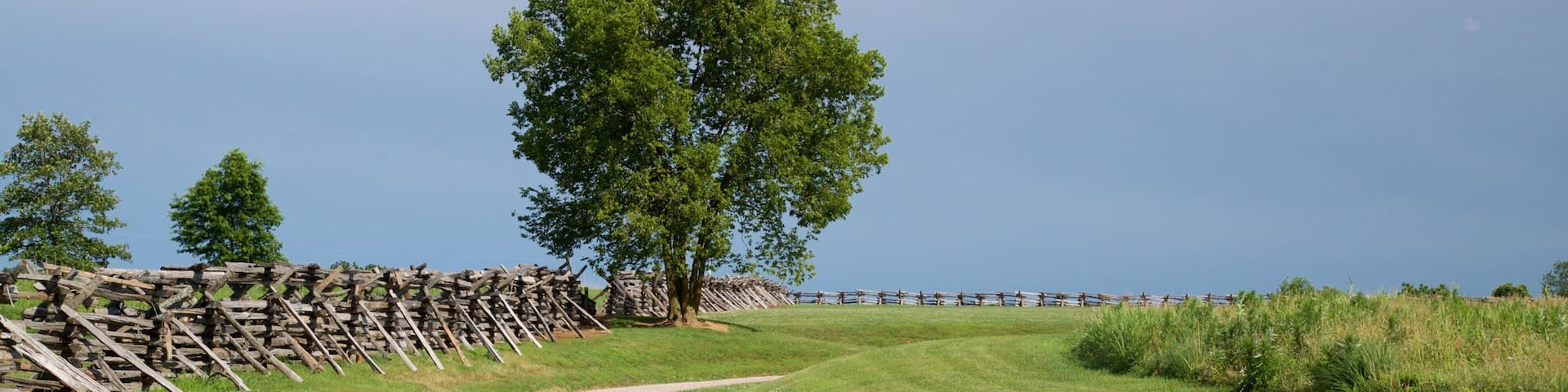 A gravel path leading to a wooden fence and a large tree.