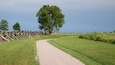 A gravel path leading to a wooden fence and a large tree.