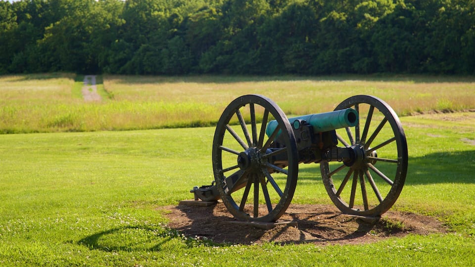 A cannon on a grassy field with trees in the background.