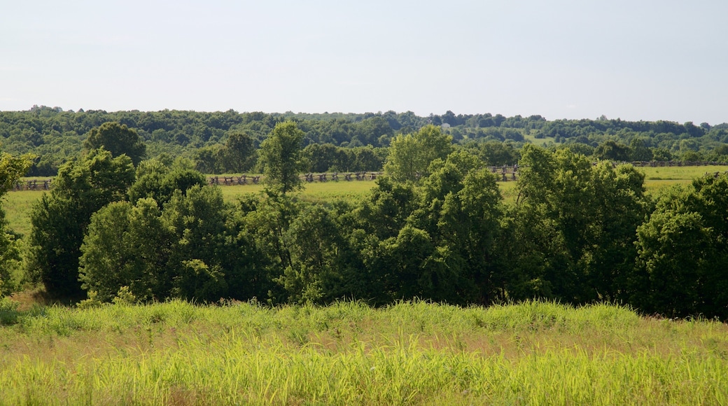Wilsons Creek National Battlefield which includes tranquil scenes