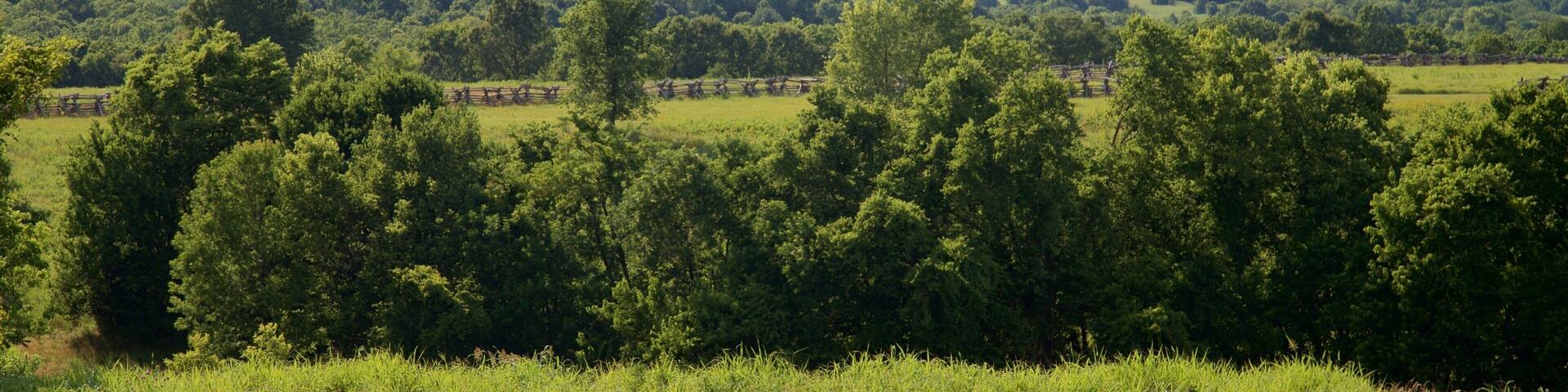 Wilsons Creek National Battlefield which includes tranquil scenes