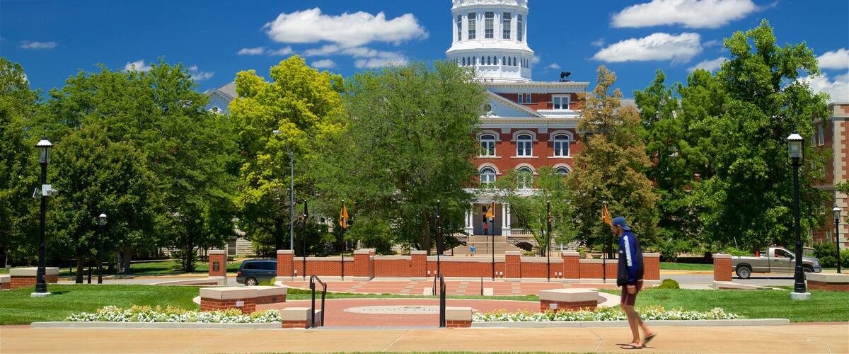 A large white dome building with a red brick base, surrounded by green trees and a clear blue sky.