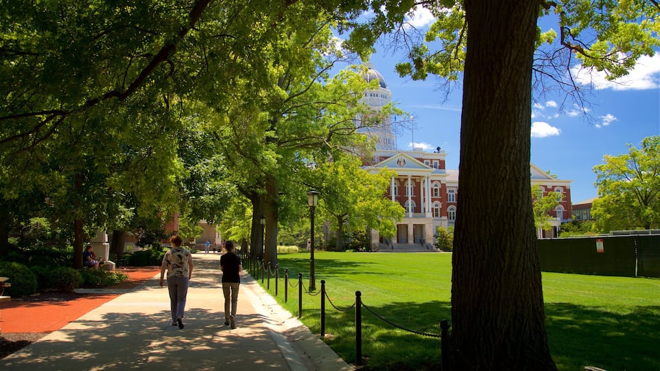 A tree-lined pathway leading to a historic building with a dome.
