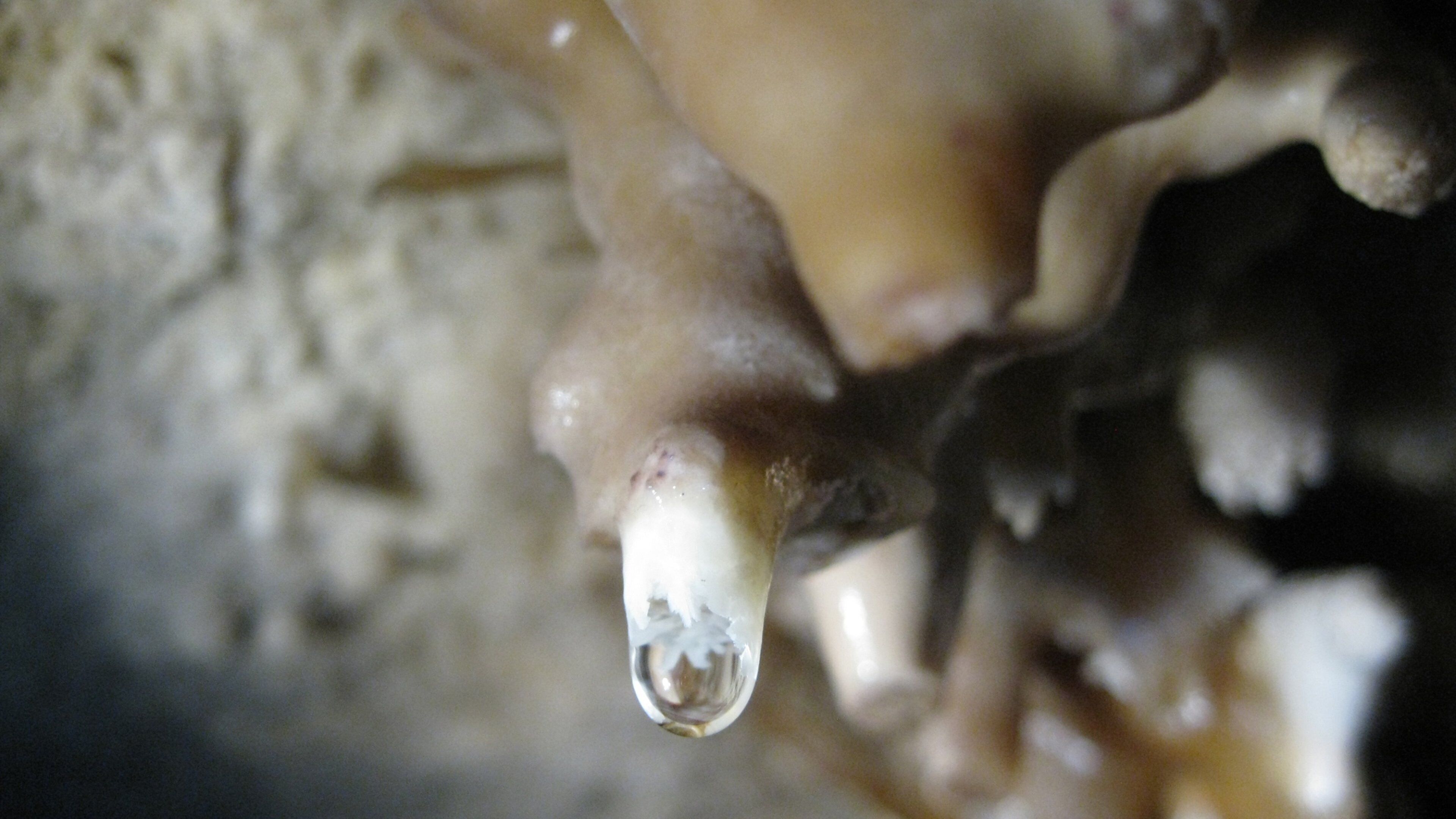 Great Basin National Park