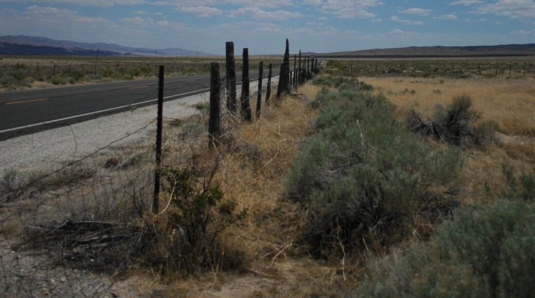 0_9fb47187-ee81-4613-957e-96e50a9d2a07_raw