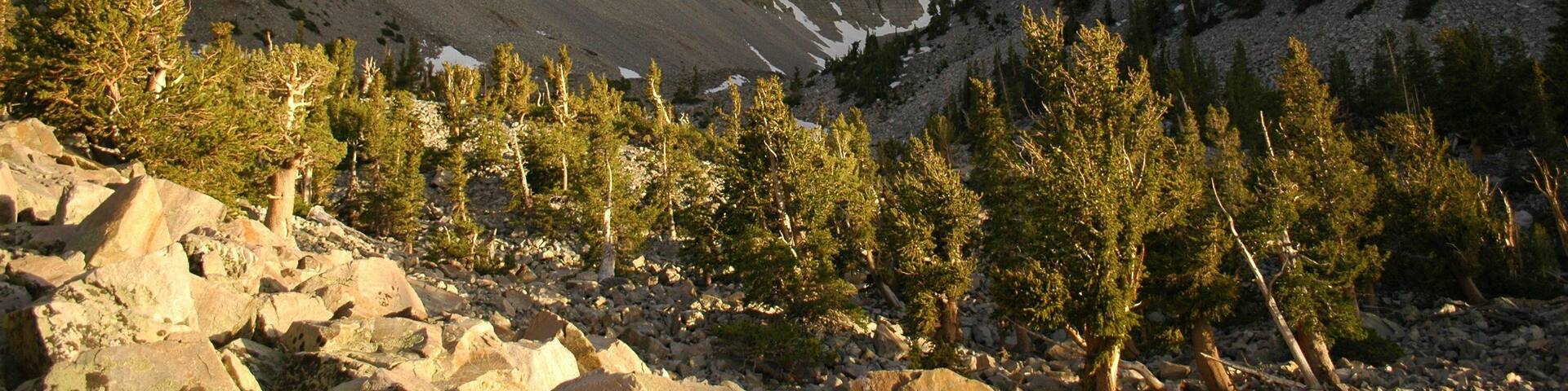 0_f26e4175-99b2-465e-b90f-ef7fb5521ef9_raw