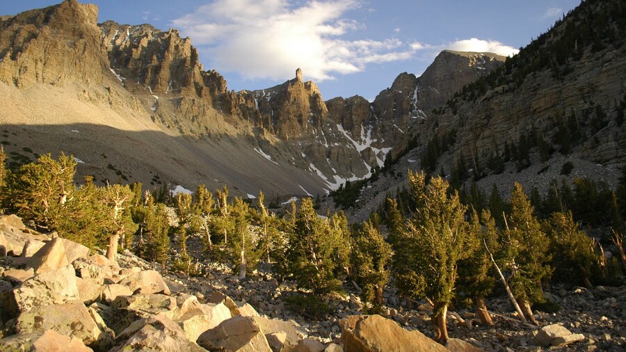 0_f26e4175-99b2-465e-b90f-ef7fb5521ef9_raw