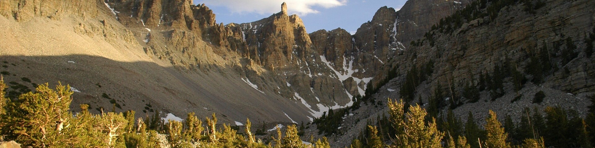 0_f26e4175-99b2-465e-b90f-ef7fb5521ef9_raw