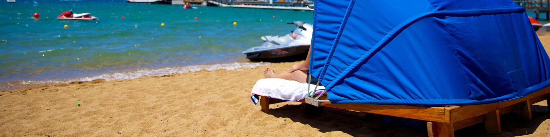 ゼファー コーブ ビーチ 表示 ジェット スキー, ボート と 砂浜