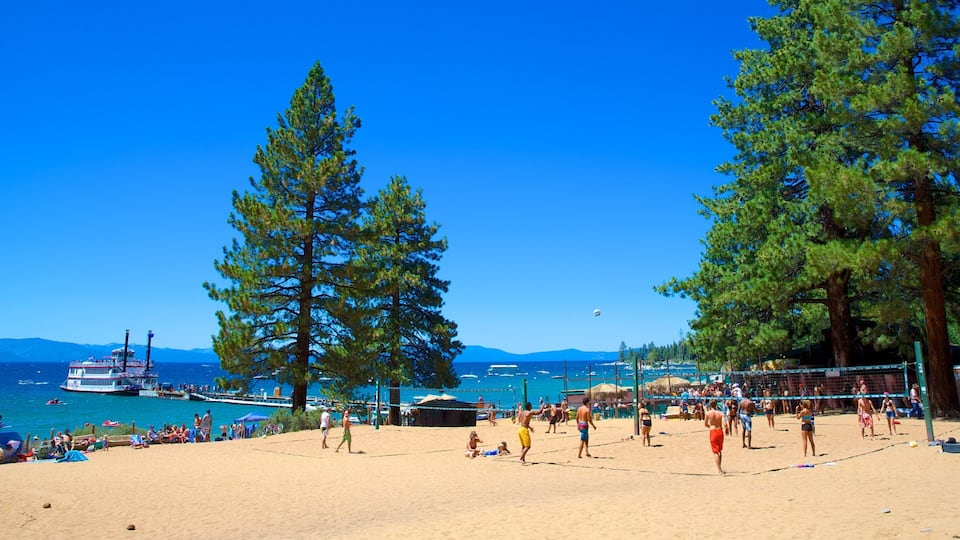 A beach volleyball game with players and spectators, a boat on the water, and tall pine trees.