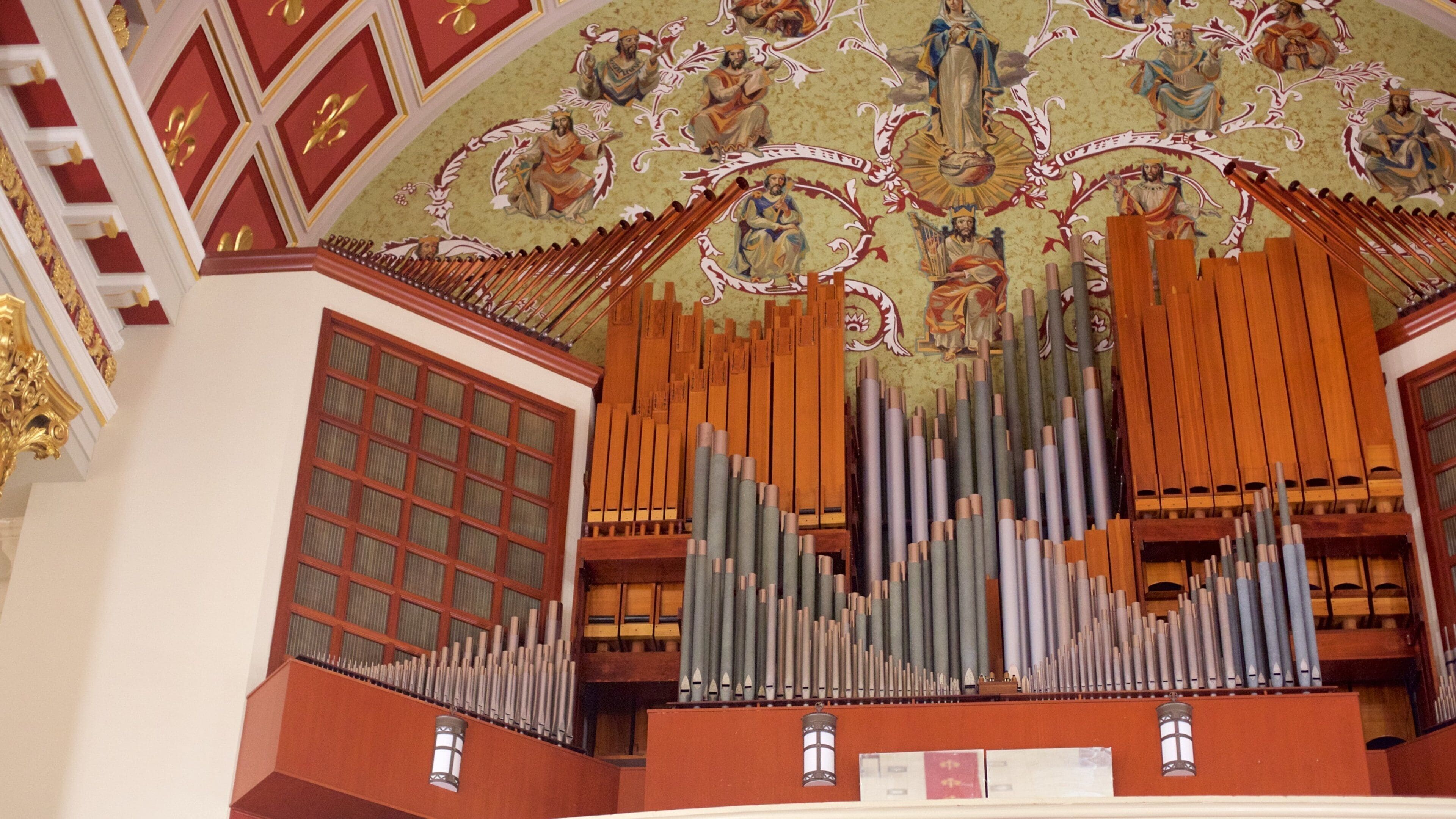 Cathedral of the Immaculate Conception joka esittää sisäkuvat, kirkko tai katedraali ja uskonnolliset aiheet