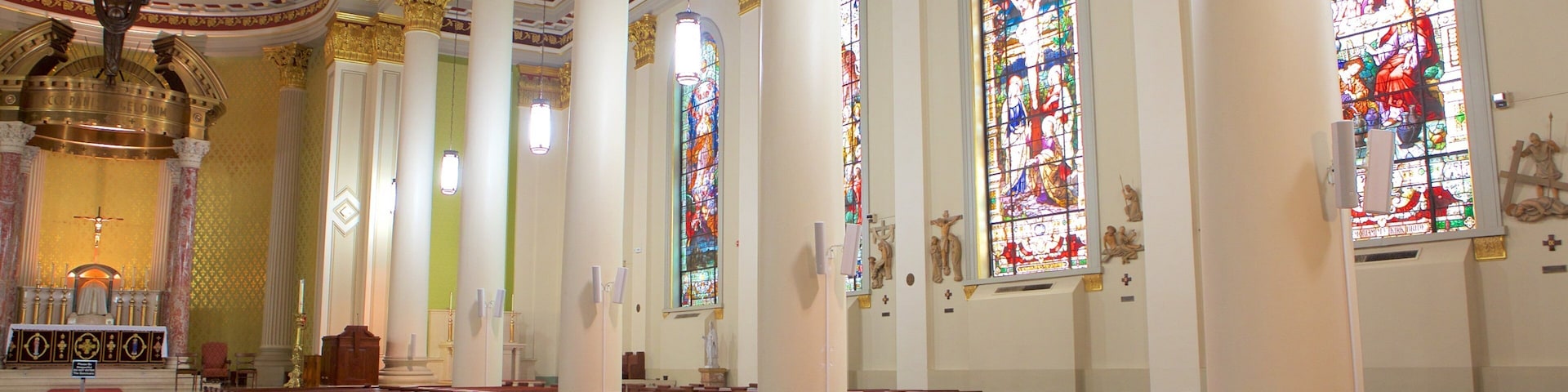 Cathedral of the Immaculate Conception which includes a church or cathedral and interior views