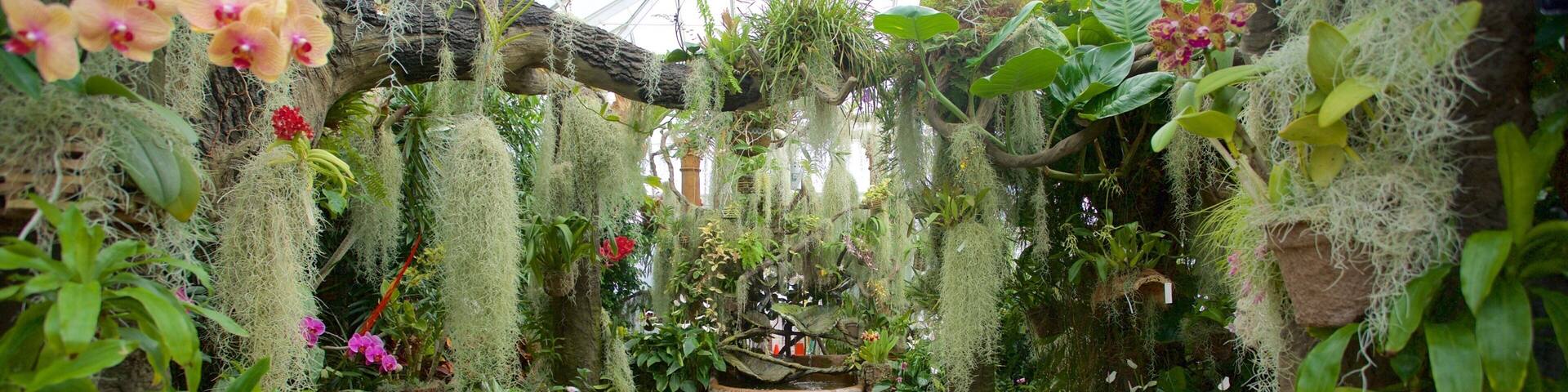 デューク ガーデンズ どの含み 屋内の眺め, 庭園 と 花