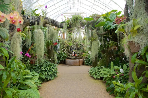 デューク ガーデンズ どの含み 屋内の眺め, 庭園 と 花
