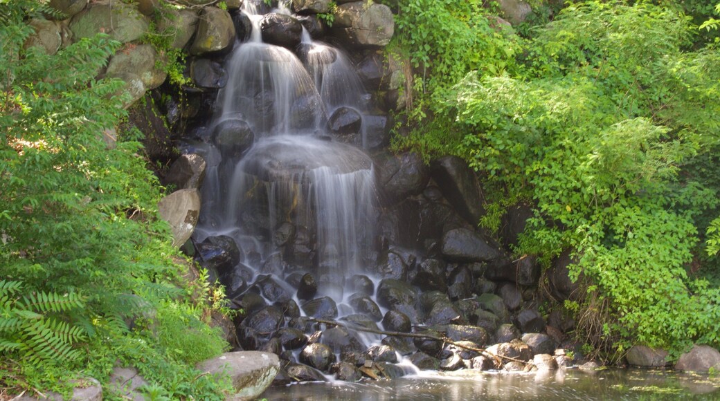 Duke Gardens que inclui uma cachoeira e floresta tropical