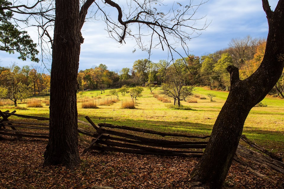 A park with a wooden bench, trees, and a grassy field.