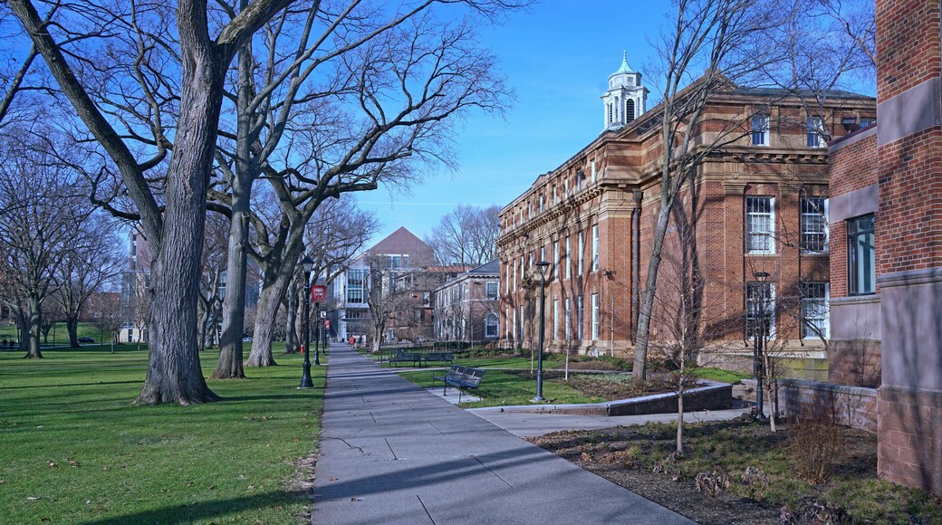 The College of New Jersey