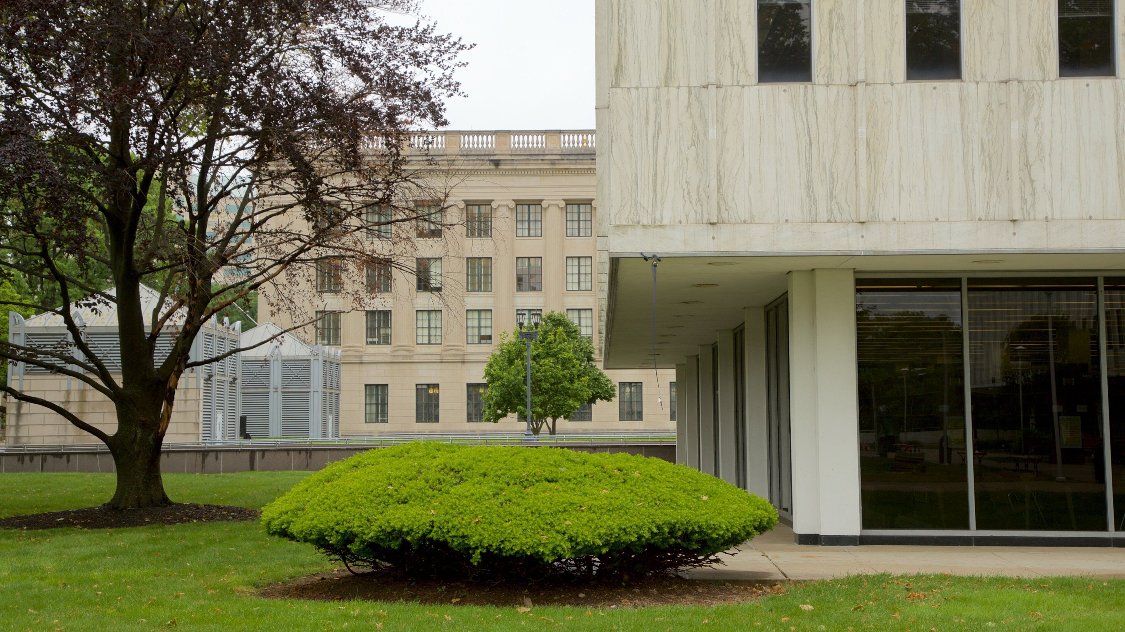 ห้องสมุดสาธารณะนิวเจอร์ซีย์ แสดง สวนสาธารณะ