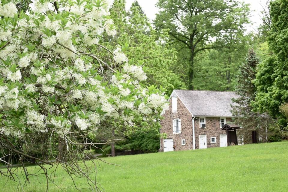 Una casa de fachada de piedra, rodeada de exuberante vegetación y árboles de flores blancas.
