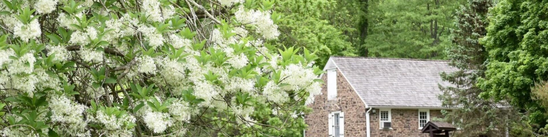 The old stone barn. Lovely park consisting of 3,575 acres. Includes a Visitor Center with museum of Revolutionary War artifacts, many picnic areas, an outdoor amphitheater and views of the Delaware River and D & R Canal. This is the NJ side park that commemorates George Washington's crossing of the Delaware on Christmas night 1776 of which there is a reenactment annually on Christmas Day.