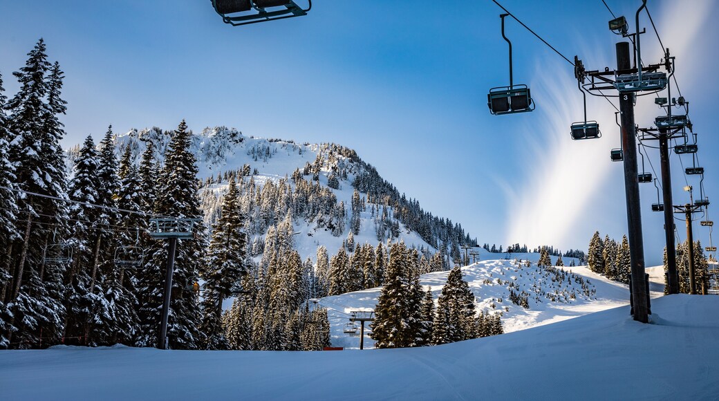 Estación de esquí Mountain Creek