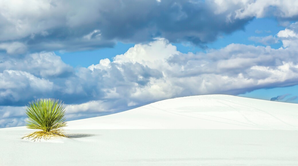 White Sands is the largest gypsum dune field in the world. It is located in the northern end of the Chihuahuan Desert in New Mexico. It is approximately a total of 275 square miles with only 115 miles available to the White Sands National Monument and the public. The remaining fields are on military land. The gypsum origins are from what now is most commonly called Lake Lucero. The most active dunes are moving at a rate of up to 30 feet a year. Lake Lucero is on military land and accessible to the public by guided tours only. Reservations are needed for the guided tours. When visiting White Sands it's necessary have plenty of water and be protected from the elements as it's easy to become lost.