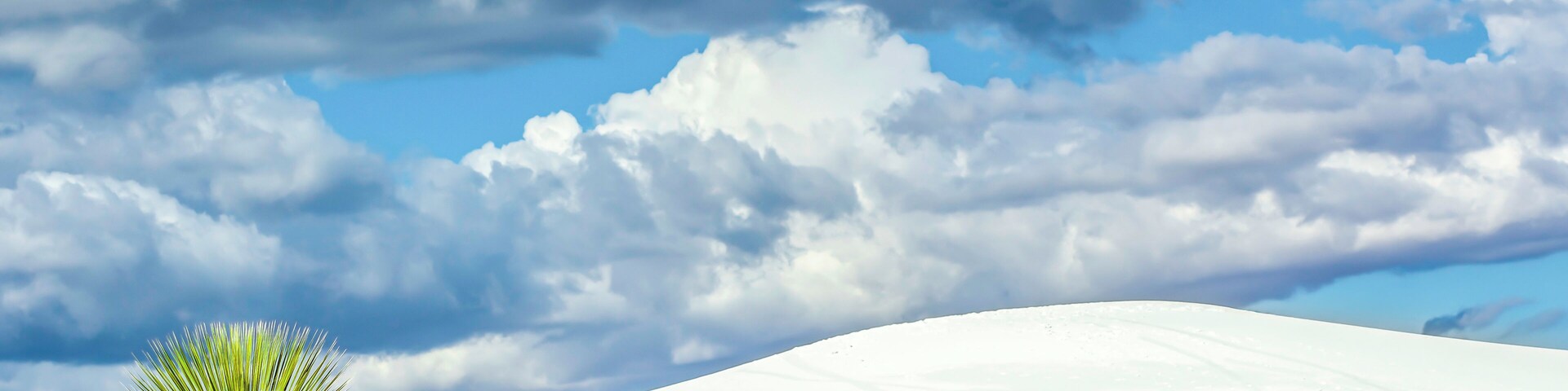 White Sands is the largest gypsum dune field in the world. It is located in the northern end of the Chihuahuan Desert in New Mexico. It is approximately a total of 275 square miles with only 115 miles available to the White Sands National Monument and the public. The remaining fields are on military land. The gypsum origins are from what now is most commonly called Lake Lucero. The most active dunes are moving at a rate of up to 30 feet a year. Lake Lucero is on military land and accessible to the public by guided tours only. Reservations are needed for the guided tours. When visiting White Sands it's necessary have plenty of water and be protected from the elements as it's easy to become lost.