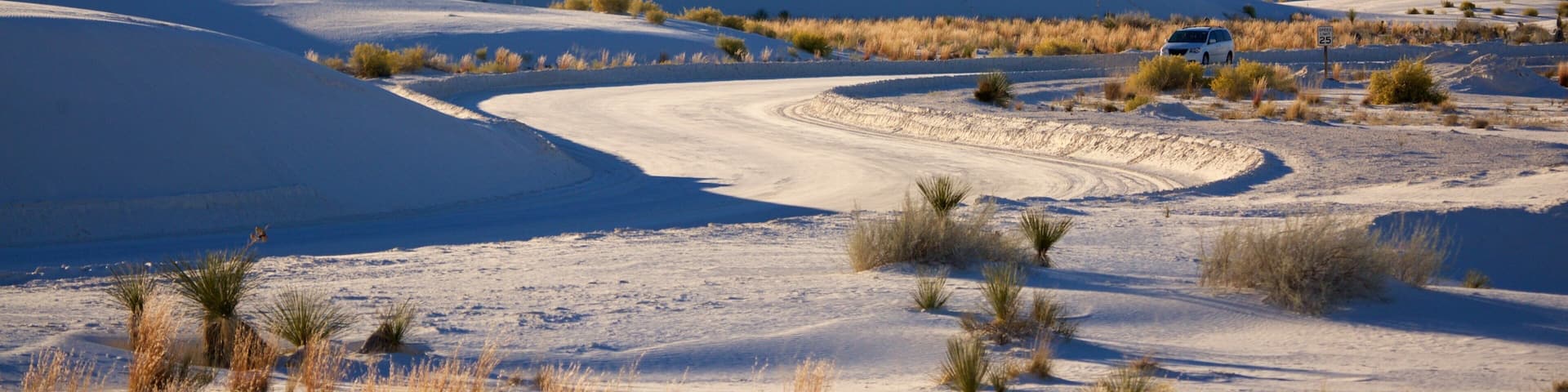 White Sands National Monument which includes desert views