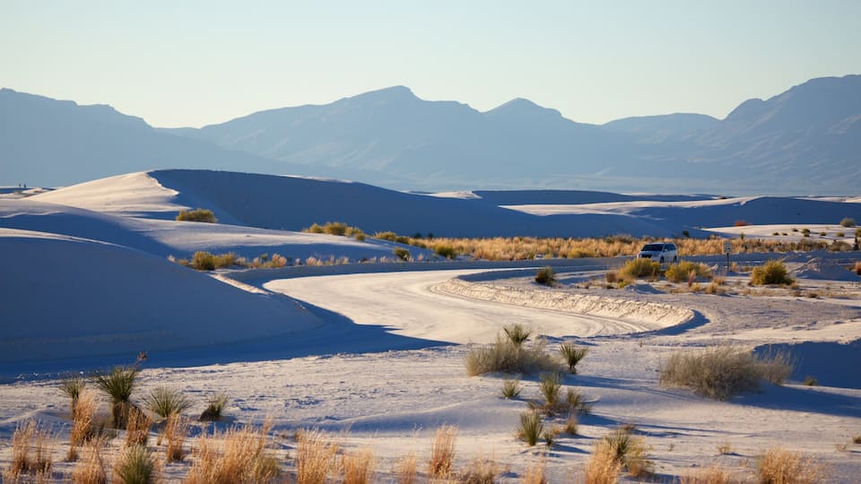 A desert landscape with rolling sand dunes, sparse vegetation, and distant mountains.