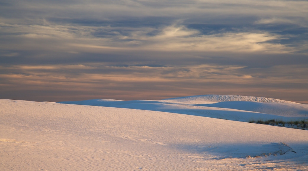 Monumento Nacional Arenas Blancas que incluye vistas al desierto