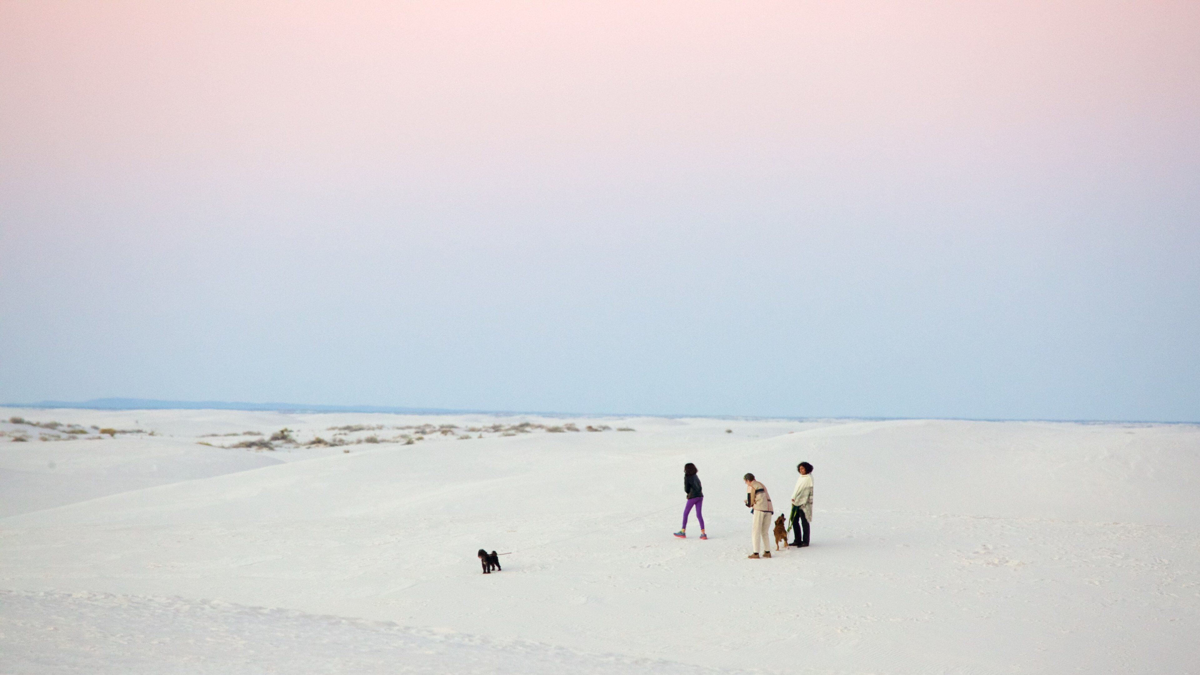 Monumento Nacional Arenas Blancas que incluye vistas al desierto y también un pequeño grupo de personas