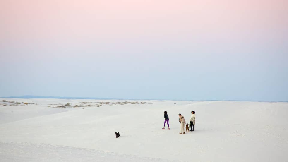 A vast white desert landscape with a few people and dogs.