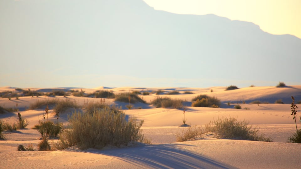 A desert landscape with sand dunes and sparse vegetation.