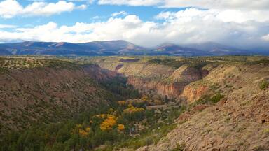 Monumento Nacional Bandelier mostrando escenas tranquilas, vistas de paisajes y un barranco o cañón