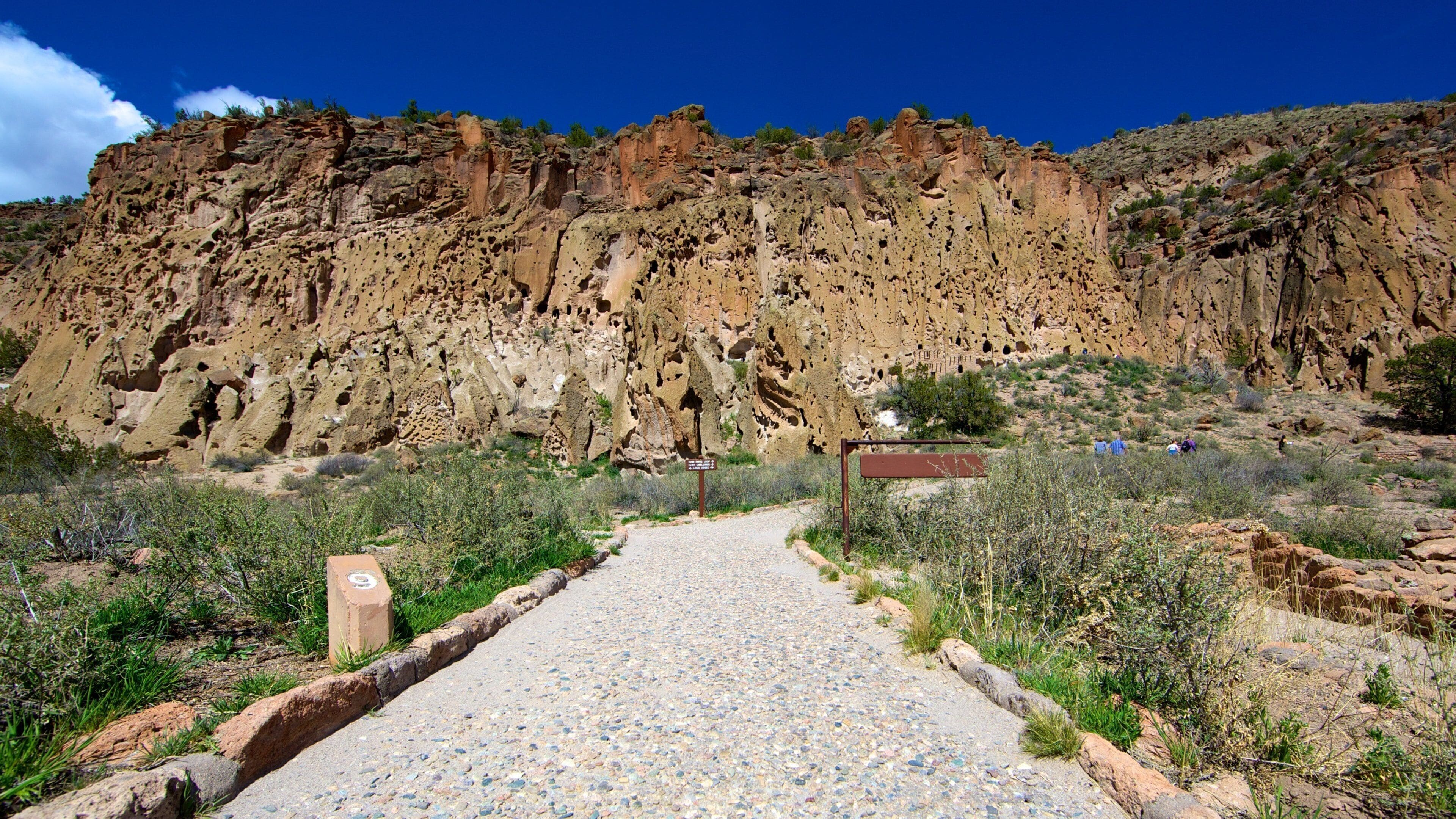 A gravel path leading to a rocky cliff with sparse vegetation.