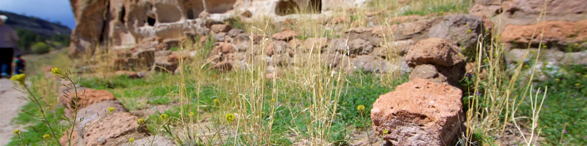 ๋ฐ๋ธ๋ฆฌ์ด ๊ตญ๋ฆฝ์ฒ์ฐ๊ธฐ๋
๋ฌผ ์ ํน์ง ๋ฌธํ์ ์ฐ ์์ ๊ณผ ๊ธฐ๋
๋ฌผ