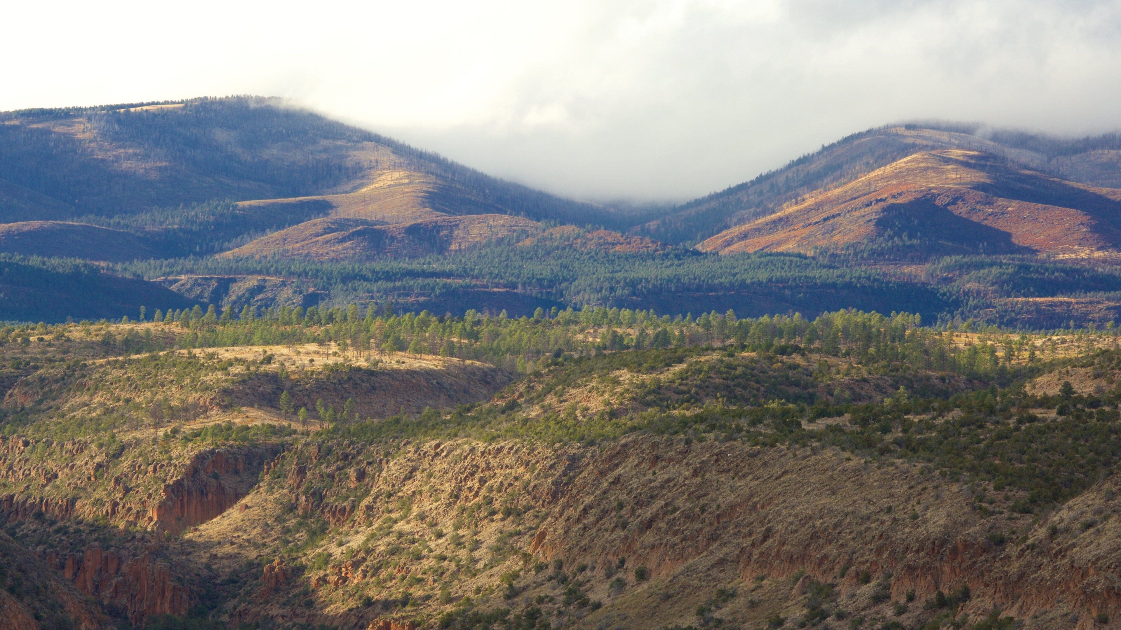 Bandelier National Monument showing tranquil scenes and landscape views