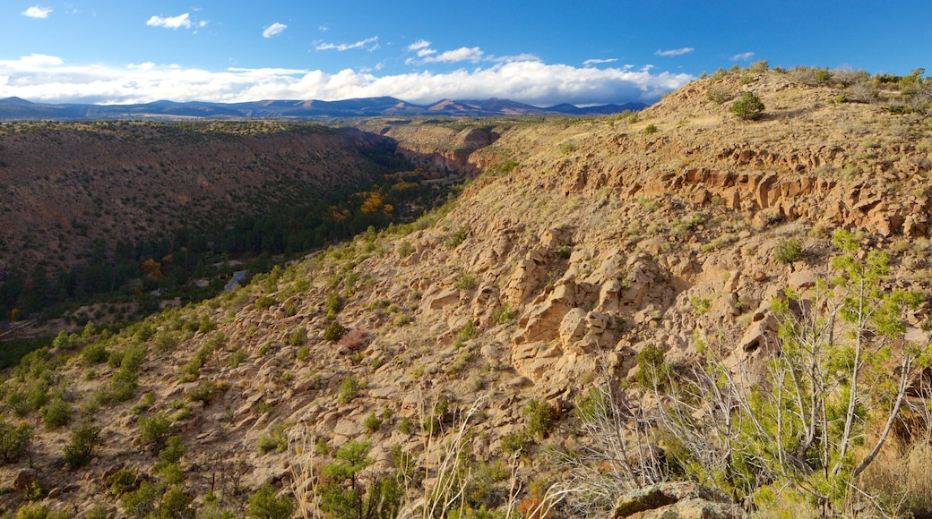 Bandelier National Monument featuring tranquil scenes