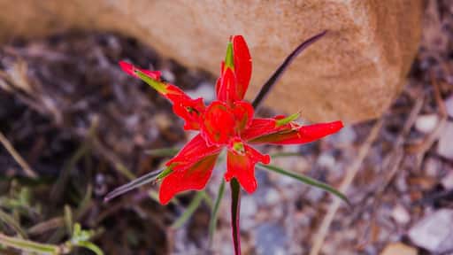 El Morro National Monument is a beautiful natural resource in New Mexico. They have a couple great hikes and a very nice info center and campground.