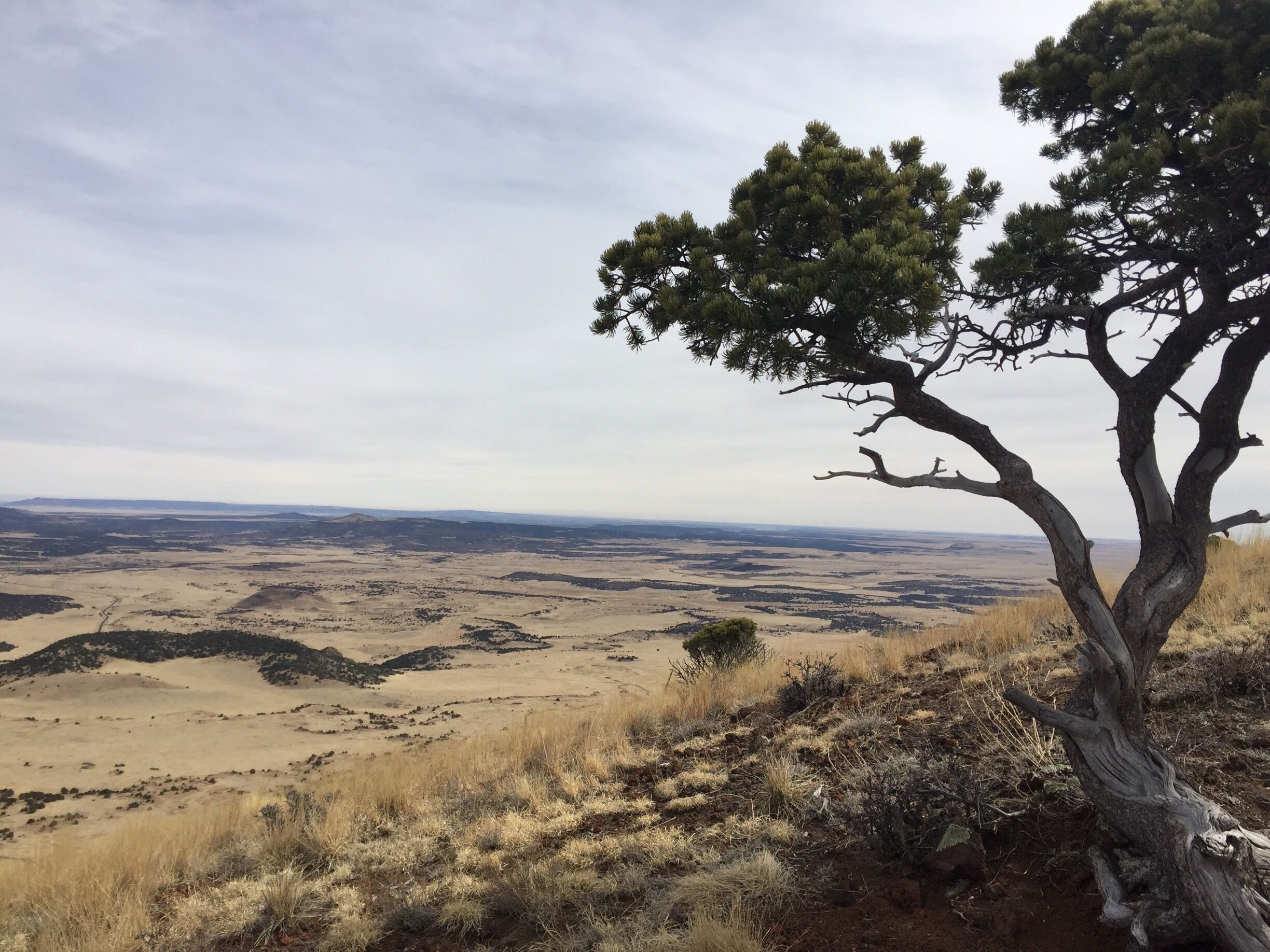 This spectacular cinder come is made wonderfully accessible by a 1-mike rim trail with a 305’ elevation gain and astonishing views. This is looking NW at Mud Hill, a smaller horseshoe-shaped volcano that erupted around the same time as Capulin. 