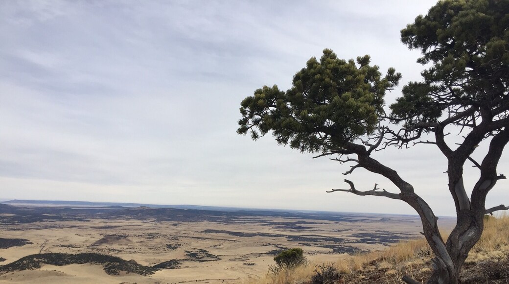 This spectacular cinder come is made wonderfully accessible by a 1-mike rim trail with a 305’ elevation gain and astonishing views. This is looking NW at Mud Hill, a smaller horseshoe-shaped volcano that erupted around the same time as Capulin.