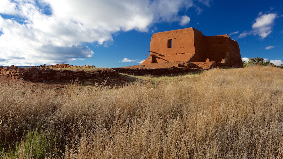 Pecos National Historical Park featuring tranquil scenes