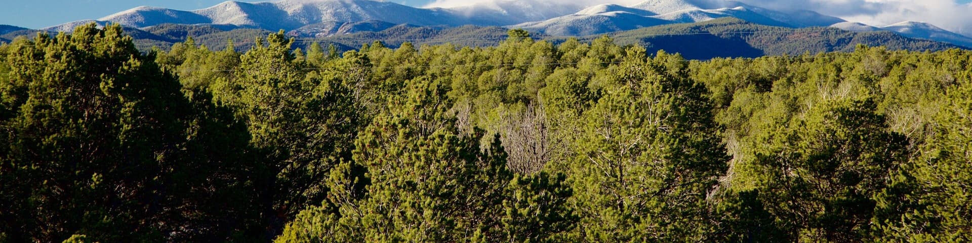 A mountain range with snow-capped peaks under a clear blue sky, surrounded by dense green forest.