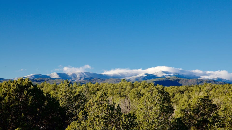A mountain range with snow-capped peaks under a clear blue sky, surrounded by dense green forest.