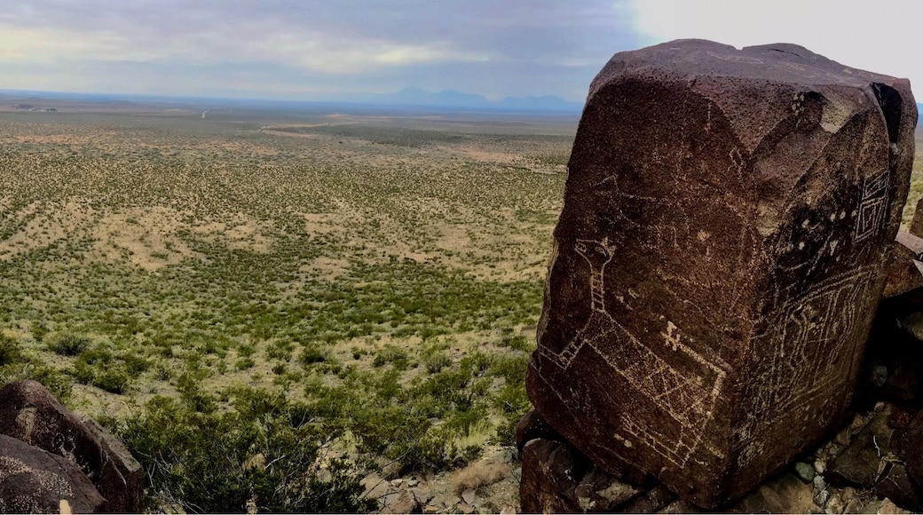 Three Rivers Petroglyphs between the Bosque Del Apache and White Sands. Three Rivers Petroglyphs are apparently thought to be one of the main concentrations of Petroglyphs in North America. Over 20,000 Petroglyphs have been cataloged and still counting. Unlike many other petroglyph sites with large panels on cliffs these petroglyphs cover all the rocks and boulders like carpet of pictures.